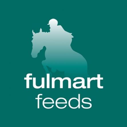 fulmart logo 1